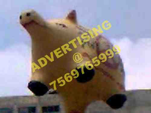 advertising balloon vizag